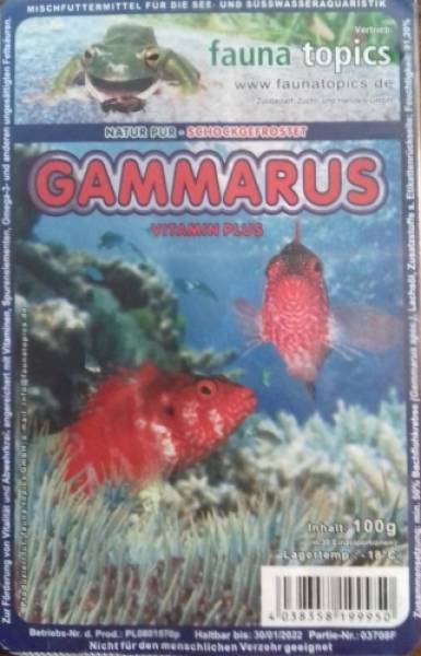 Gammarus (Bachflohkrebse) Blister 100g gefroren